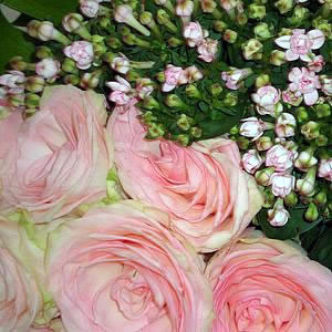 Bouquet de Rosas Esperance