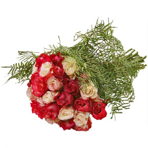 Bouquet de Rosas Rosa em Vários Tons