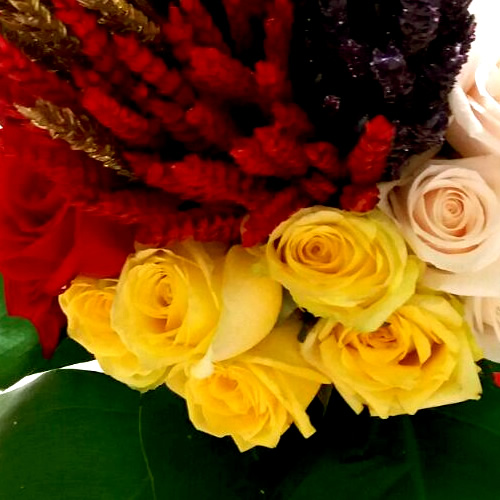 Bouquet de Rosas Multicolor com Espigas